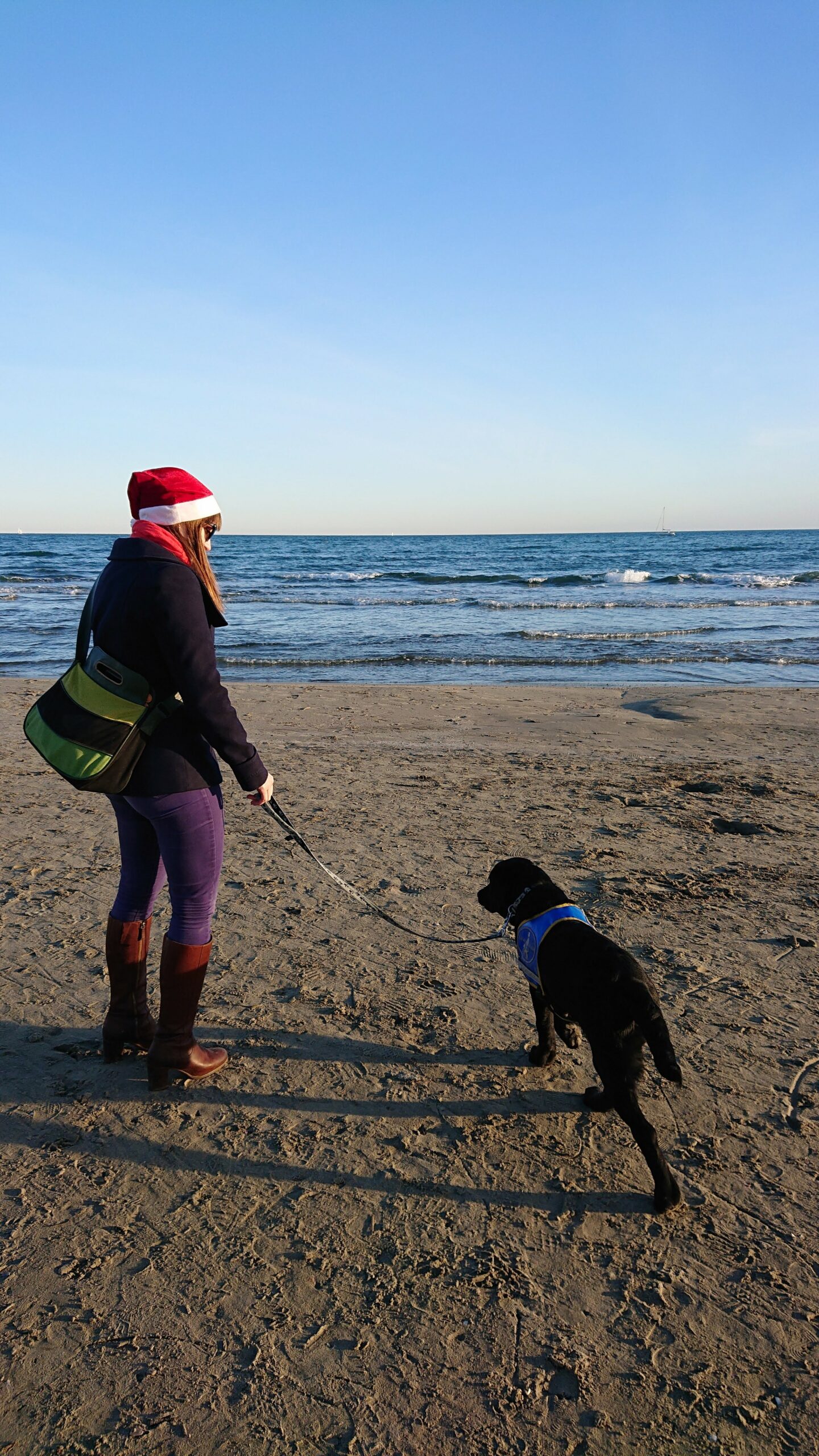 Photo d'Onyl, labrador noir d'à peine 4 mois, en laisse avec son dossard bleu d'élève chien guide sur la plage avec moi, portant un bonnet de noël