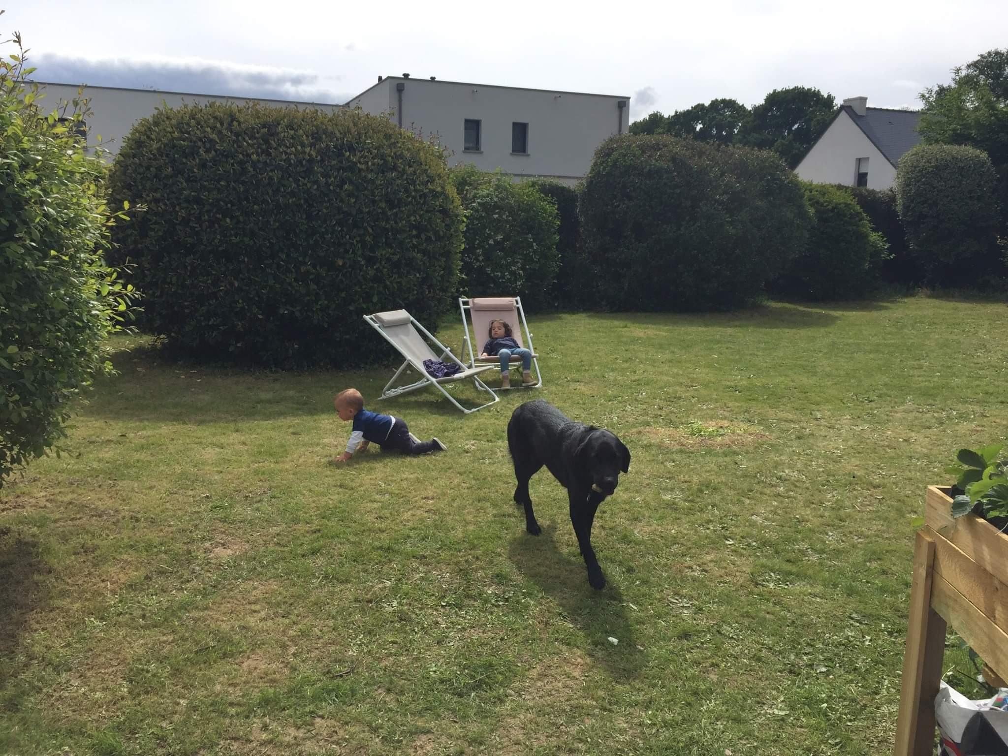 Nilo, labrador noir de un an, dans le jardin avec deux jeunes enfants