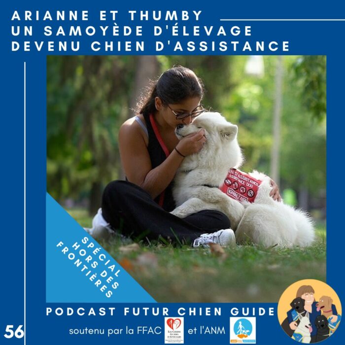 🐕‍🦺56 – Arianne et Thumby – Un samoyède d’élevage devenu chien d’assistance
